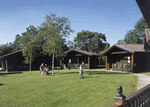 Pinewood in Lyme Regis, South West England