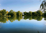 Weybread Lakes Lodges in Weybread, East England